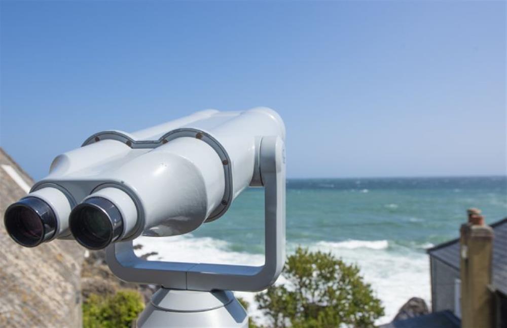 Your own telescope to watch the shipping in and out of Falmouth at Dolor Cottage, Coverack