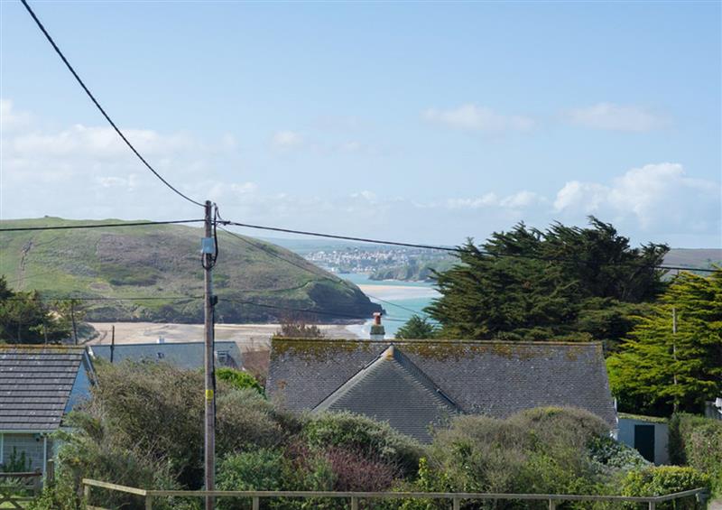 The garden at Dolphins, Daymer Bay