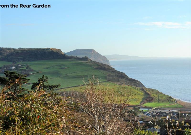 Rural landscape at Dolphins Leap, Charmouth