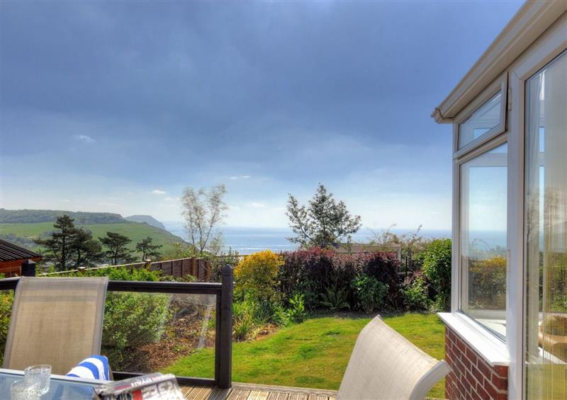 The garden at Dolphins Leap, Charmouth