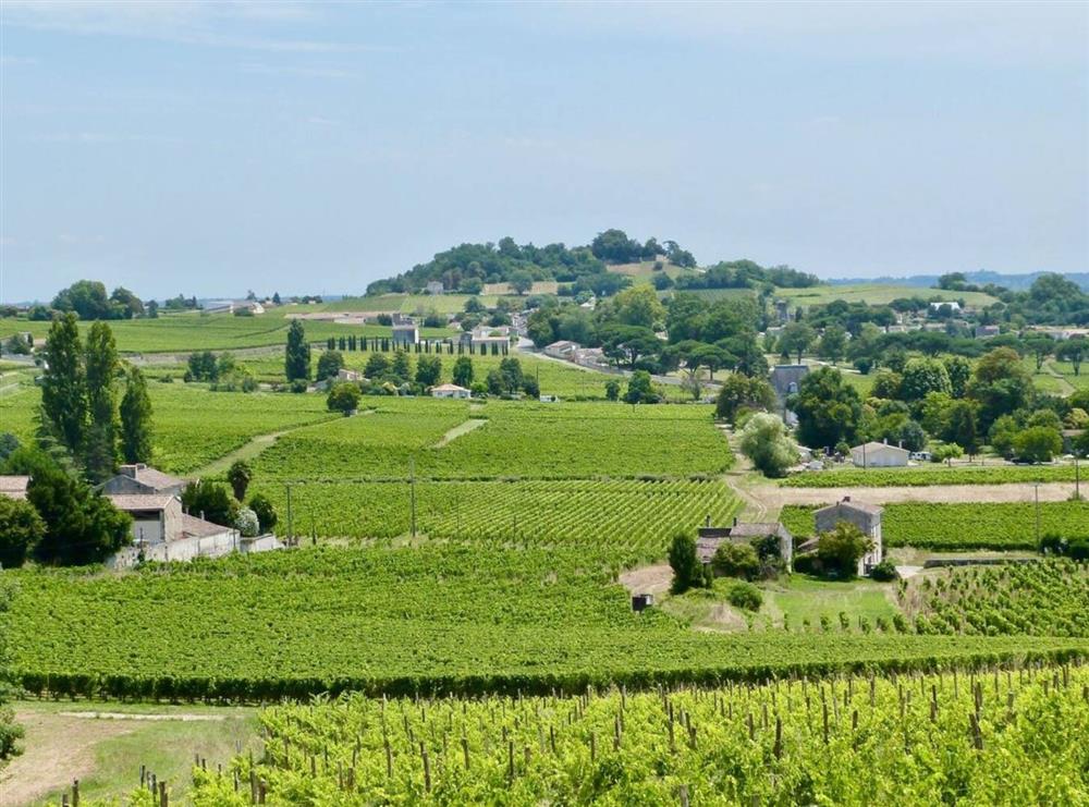 Domaine de Fronsac