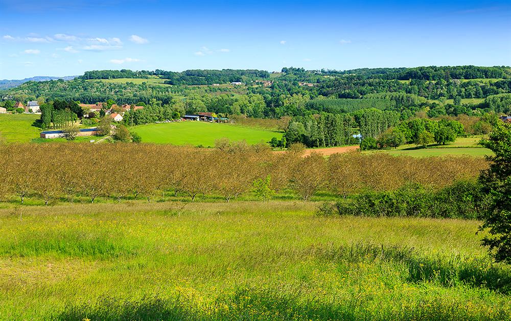 A photo of Domaine de l'Auvezere