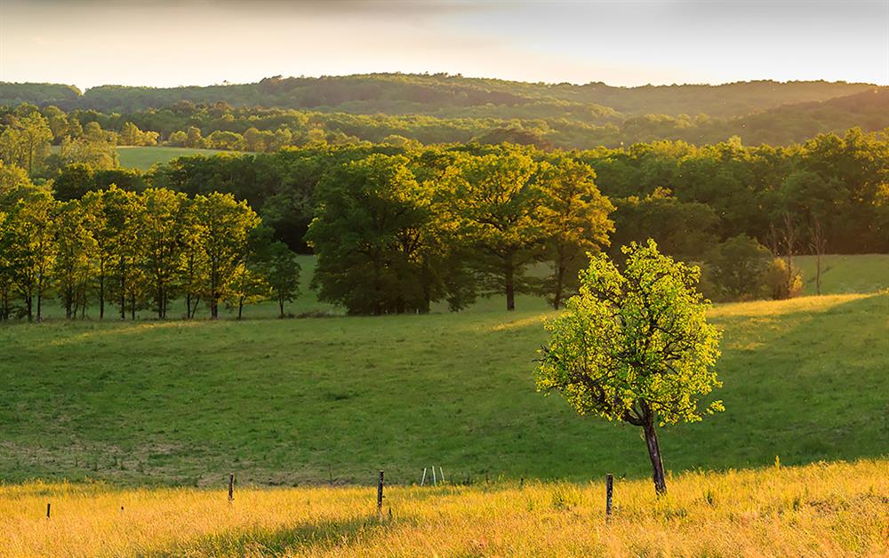 A photo of Domaine de l'Auvezere