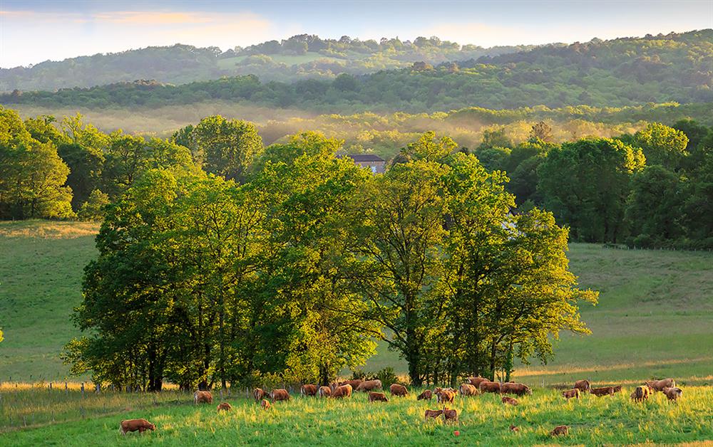 A photo of Domaine de l'Auvezere