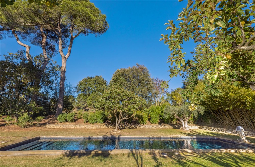 Domaine Des Arbres