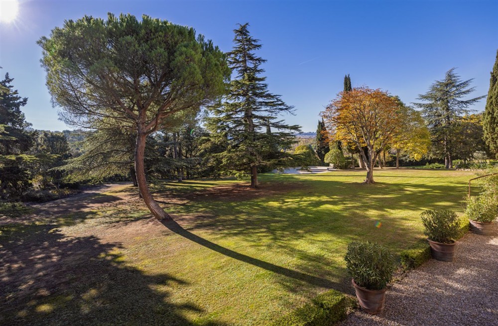 Domaine Des Arbres