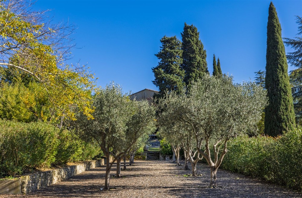Domaine Des Arbres