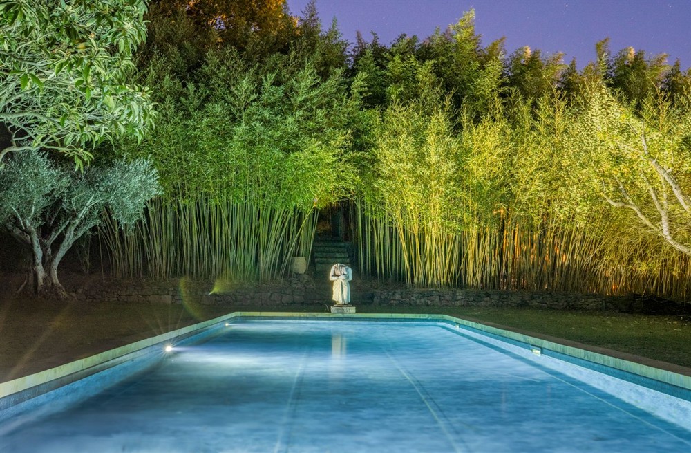 Domaine Des Arbres