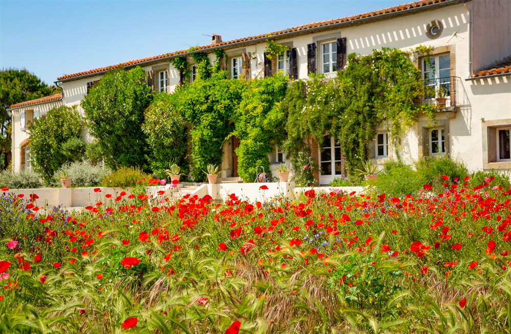 Domaine Des Pavots at Domaine Des Pavots in MONTREAL, AUDE, France