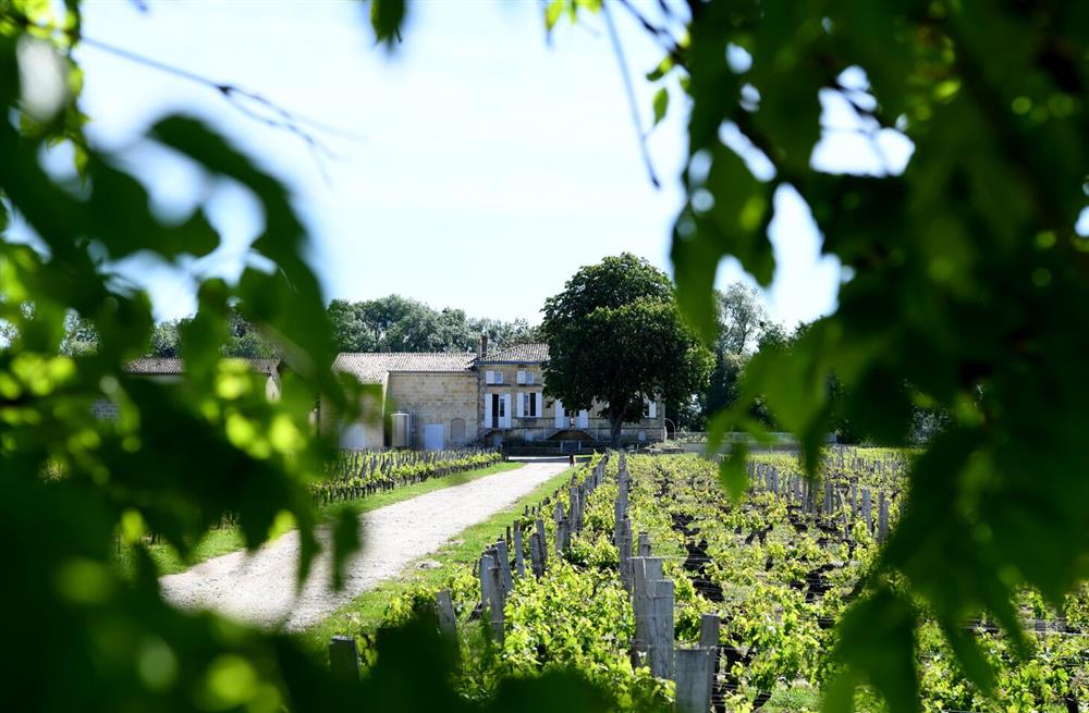 Domaine Libournais