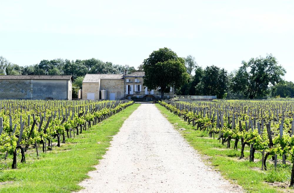 Domaine Libournais