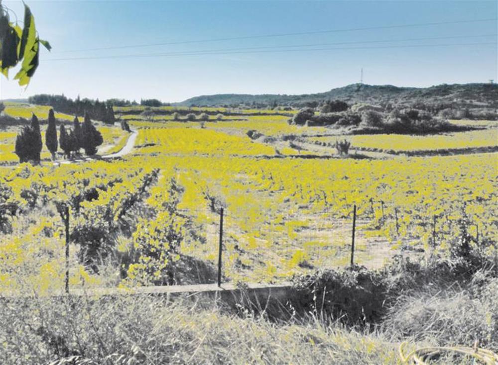 Surrounding area (photo 4) at Domazan in , France