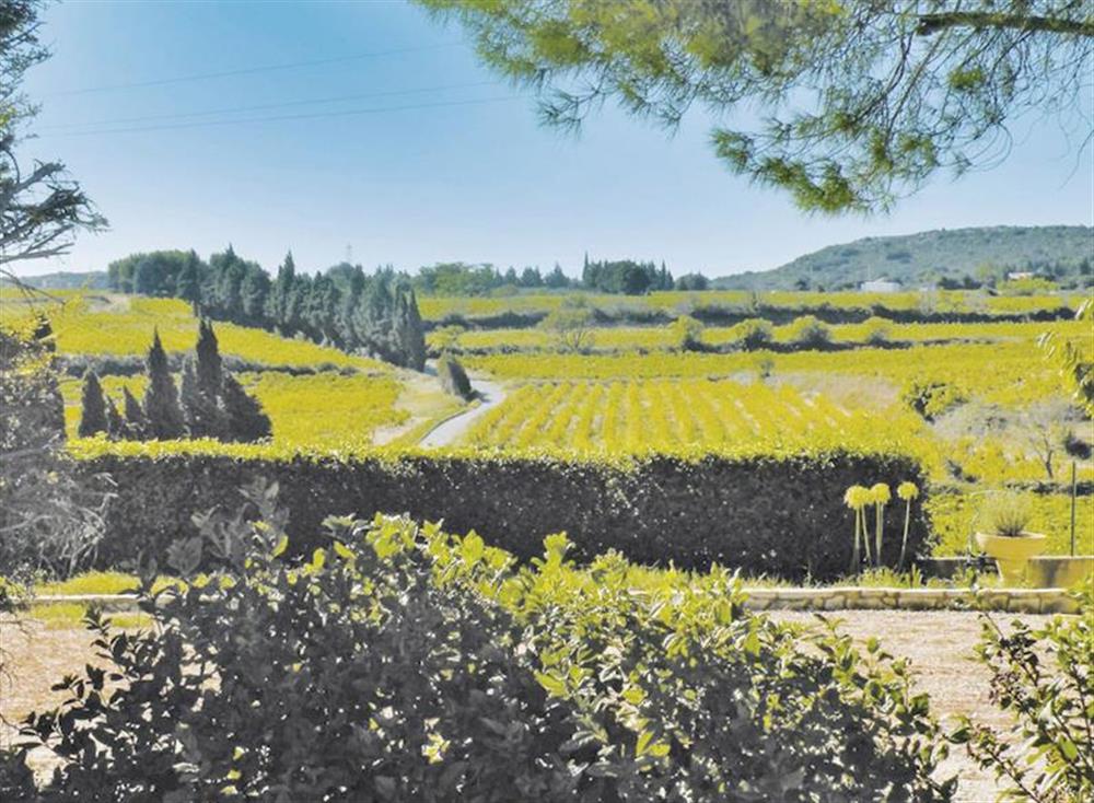 Surrounding area at Domazan in , France