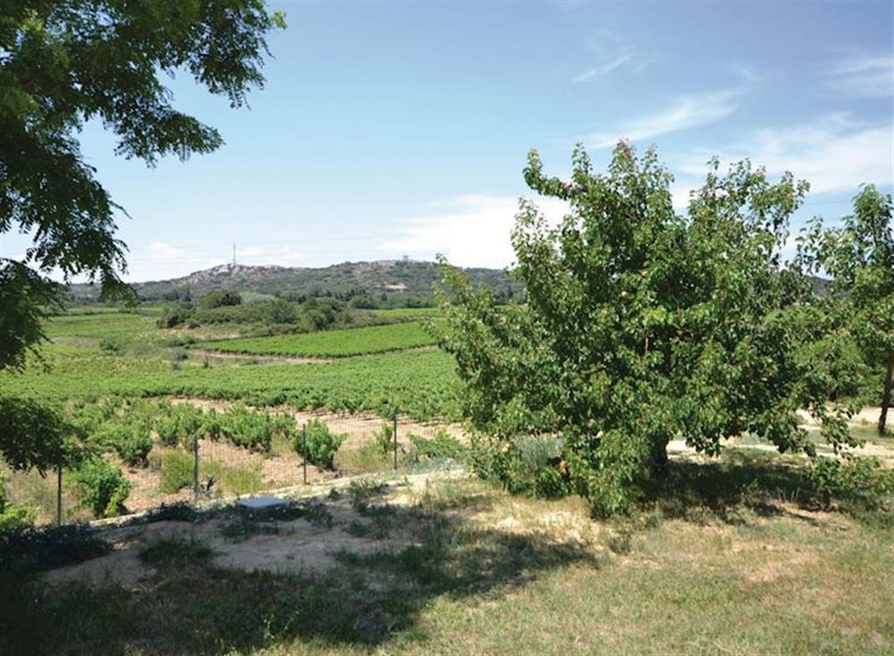 View at Domazan in , France