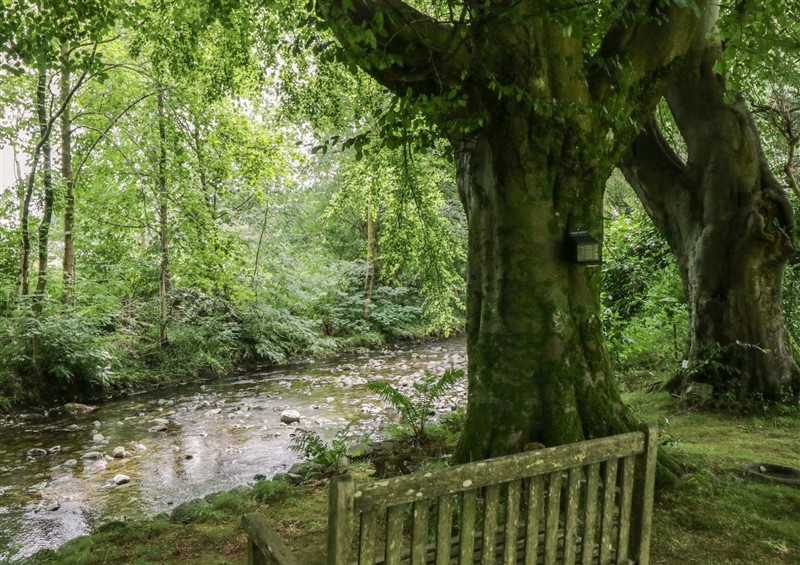 In the area at Dorothy, Grasmere