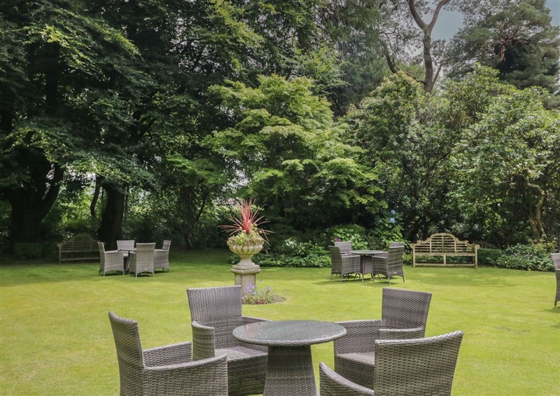 The garden at Dorothy, Grasmere