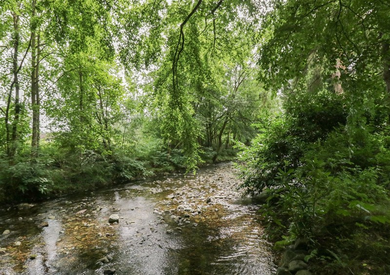 The setting of Dorothy at Dorothy, Grasmere