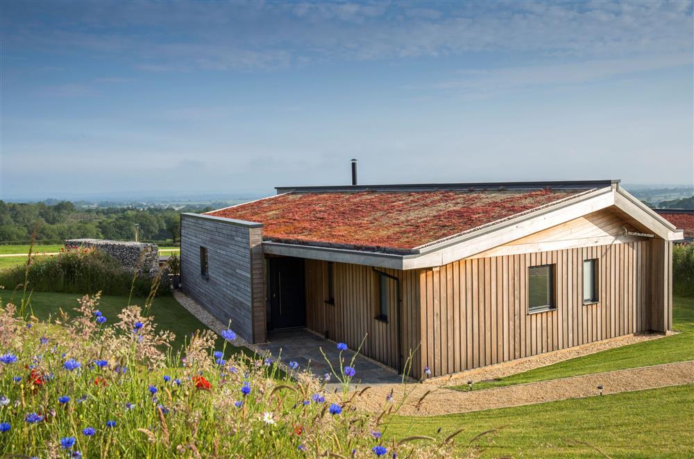 Bramble sits in a prominent position over looking rural landscape and a beautiful wildflower meadow at Dorset Eco Retreats, Ansty, Dorchester