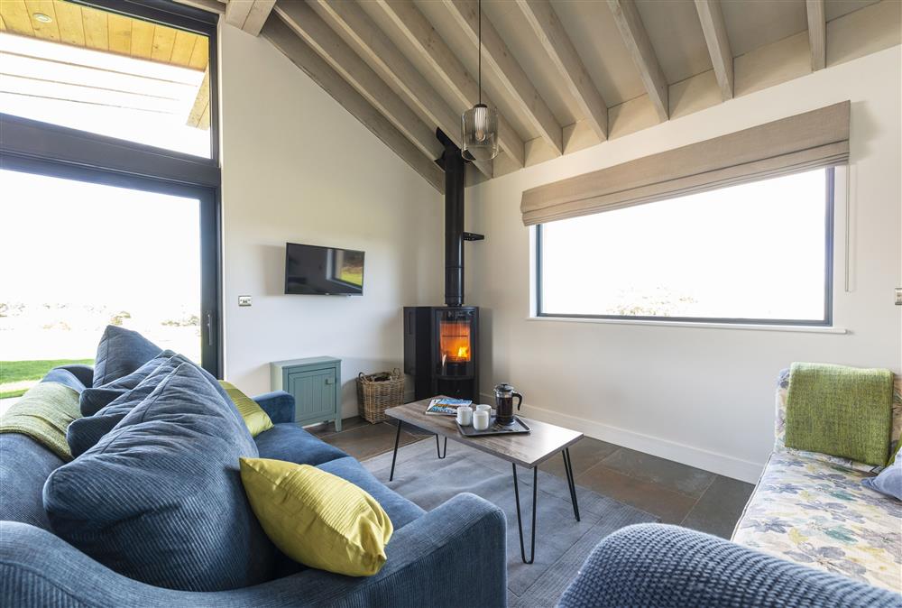Generous open-plan living areas with vaulted and beamed ceilings at Dorset Eco Retreats, Ansty, Dorchester