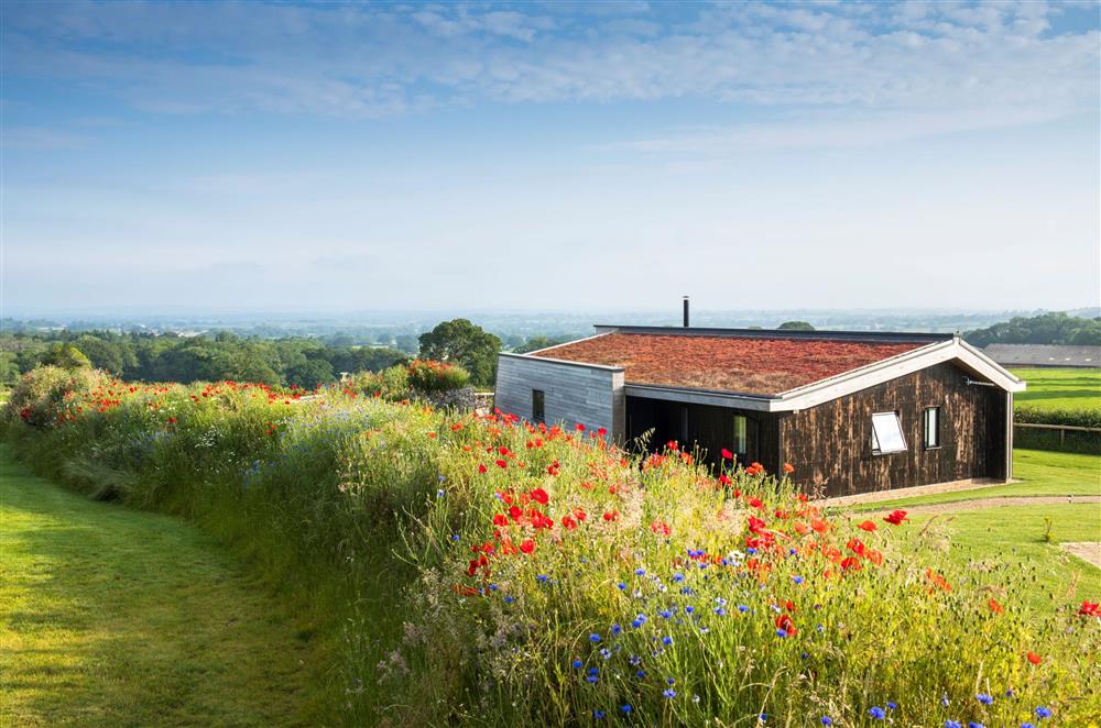 Situated in a rural and tranquil location at Dorset Eco Retreats, Ansty, Dorchester