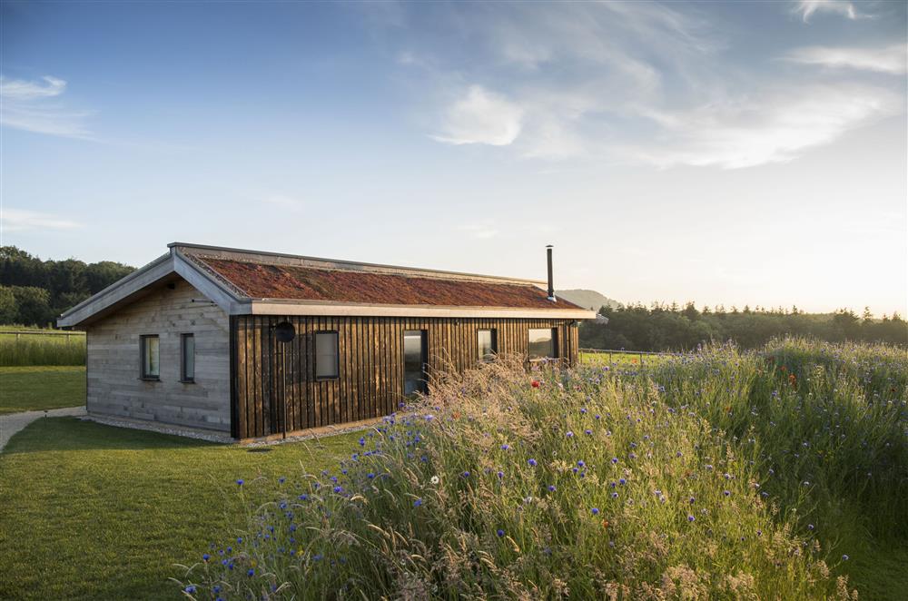 Welcome to Fern, a beautiful eco retreat overlooking stunning rural views at Dorset Eco Retreats, Ansty, Dorchester