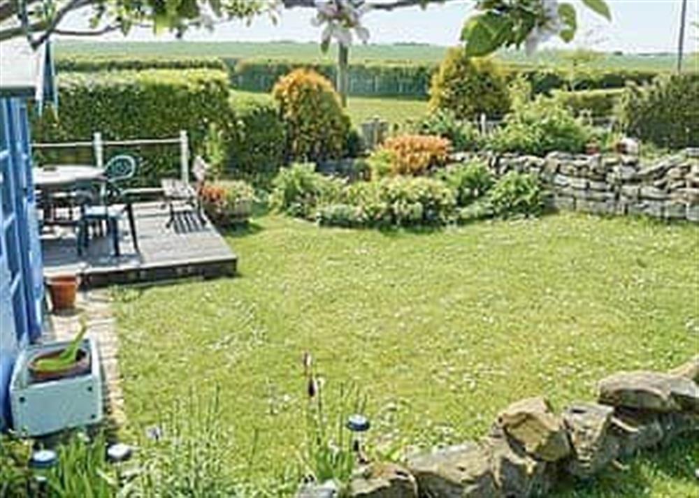 Garden at Dotty Cottage in Chathill, Northumberland