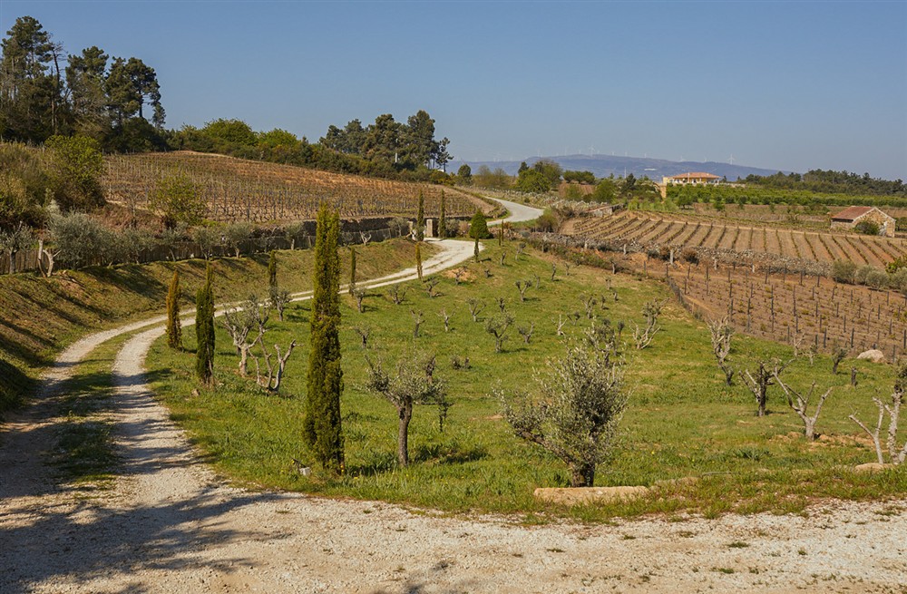 Douro Lookout (photo 34) at Douro Lookout in , Portugal