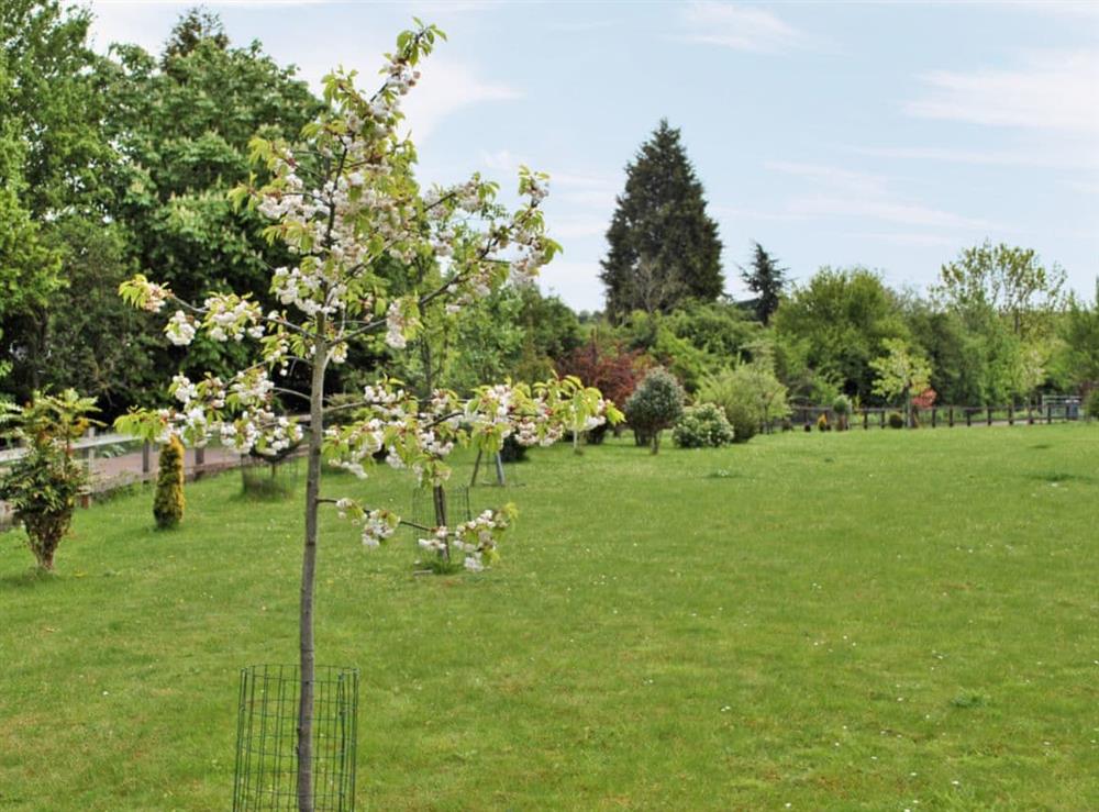 Garden and grounds (photo 2) at Doves Barn in Badley, near Needham Market, Suffolk