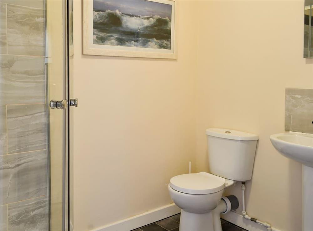 Shower room at Doves Den in Welcombe, near Bude, Devon