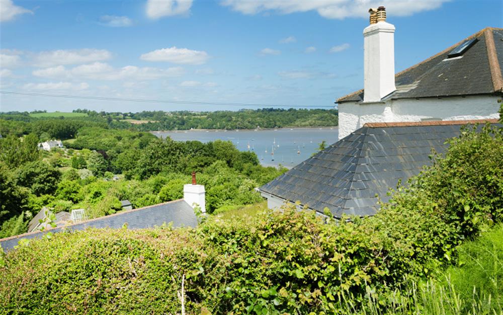 Another photo of the views. at Dower House in Dittisham