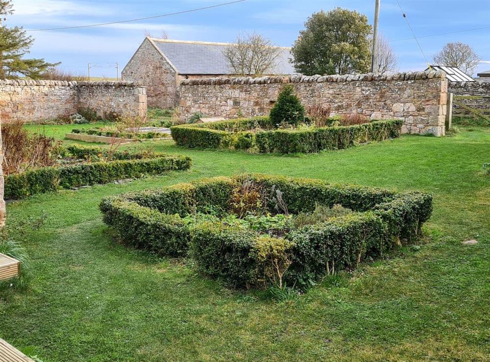 Garden at Dowie House Steading in Berwick upon Tweed, Northumberland