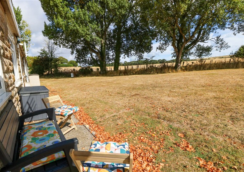 The garden in Downs View at Downs View, Yaverland near Sandown