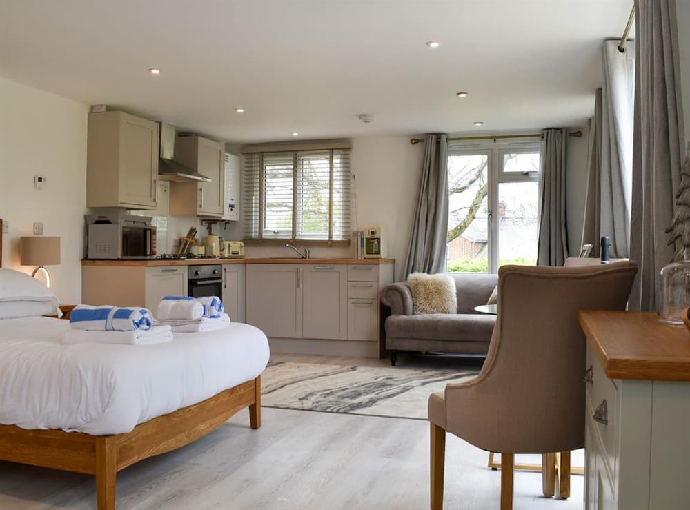 Open plan living space at Downwood- Meadow Cottage in Near Blandford Forum, Dorset