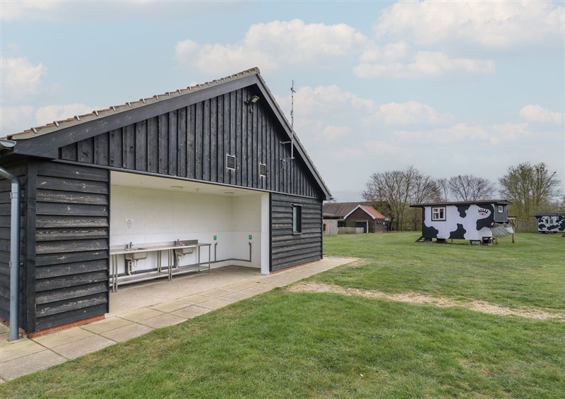 The setting of Dozy Dotty (Cow Shed 4)