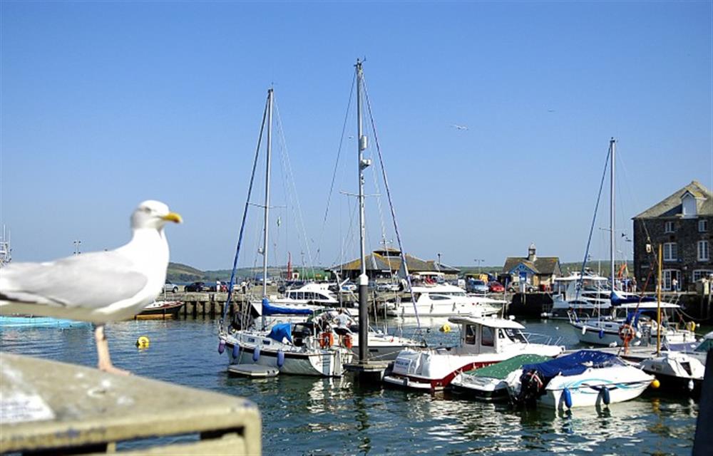 Padstow harbour at Dragon Barn, Tintagel