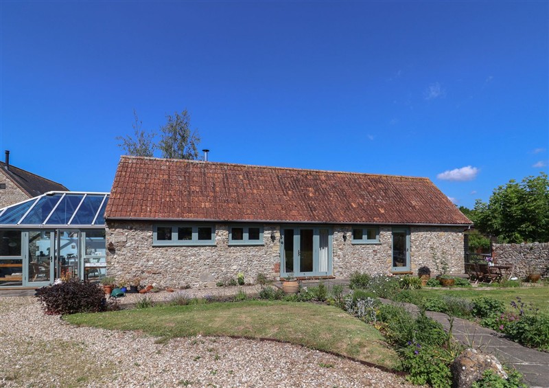 Enjoy the garden at Dragon Cottage, Musbury