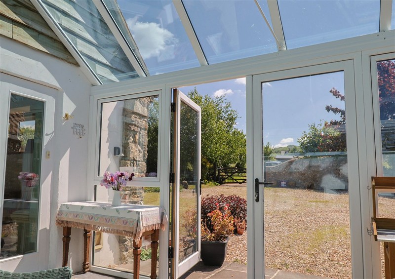 The patio at Dragon Cottage, Musbury