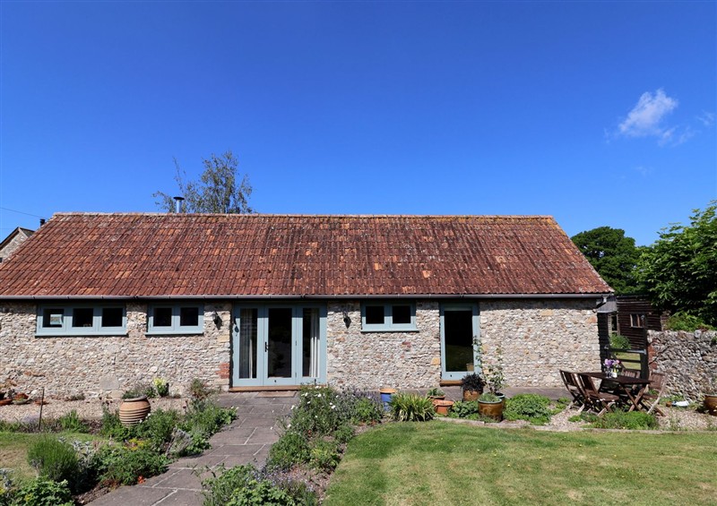 This is the garden at Dragon Cottage, Musbury