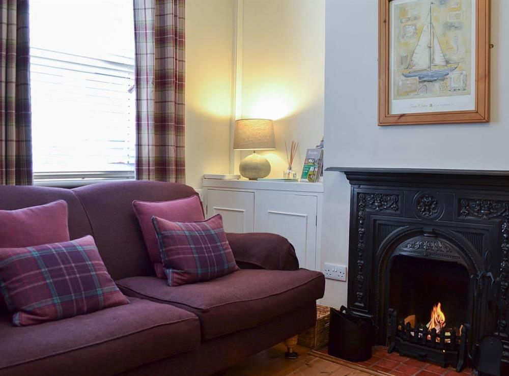Cosy living room with open fireplace at Dragonfly Cottage in Beverley , Yorkshire, North Humberside