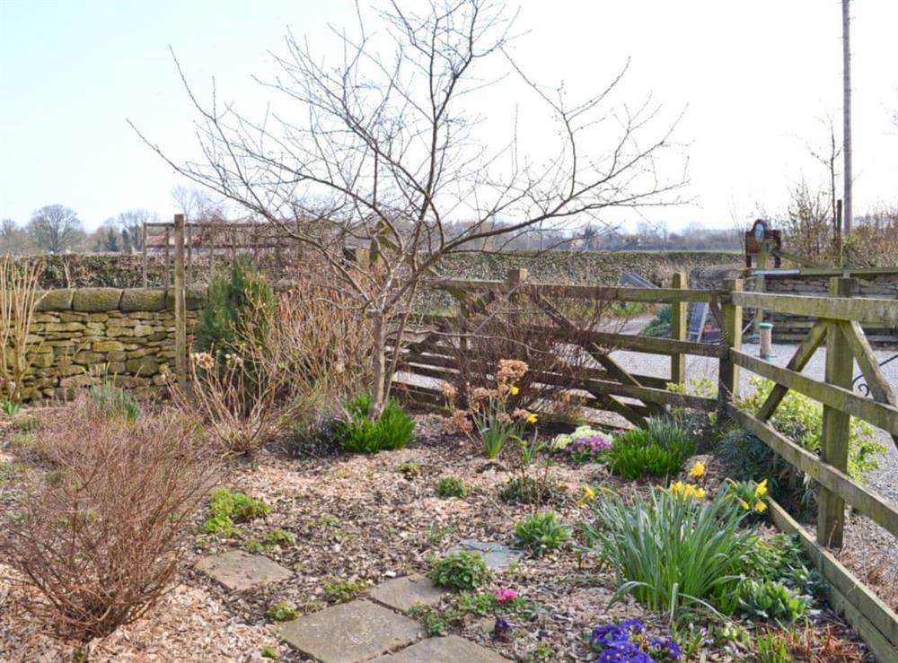 Garden at Dragonfly Cottage in Brompton by Sawdon, North Yorkshire