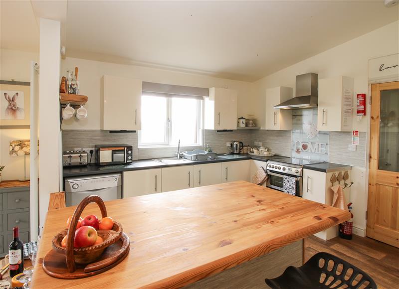 Kitchen at Dragonfly Lodge, Worthen near Minsterley