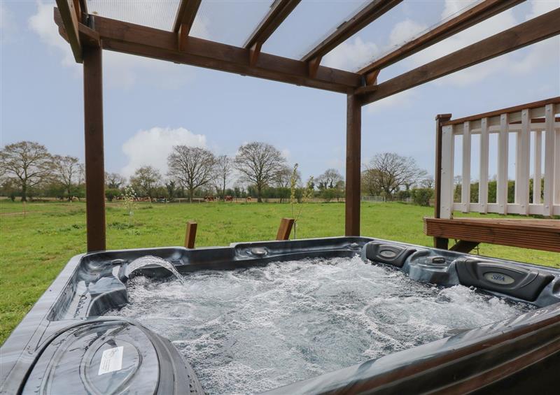 The hot tub at Dragonfly Retreat, Pentney