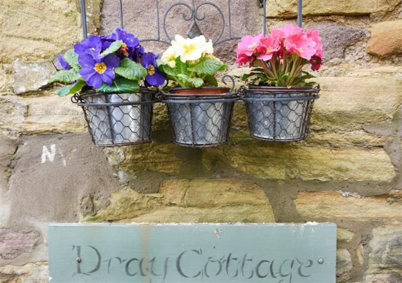 Outside (photo 2) at Dray Cottage, Warkworth
