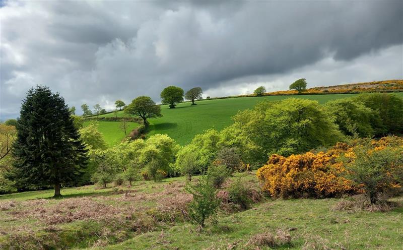 The area around Draydon Cottage