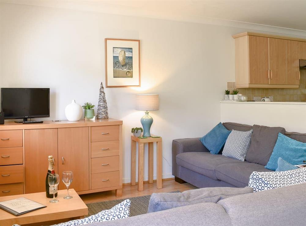 Living area at Dreckly in Falmouth, Cornwall