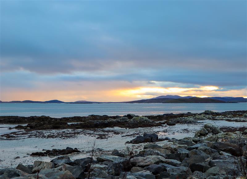 The setting of Driftwood