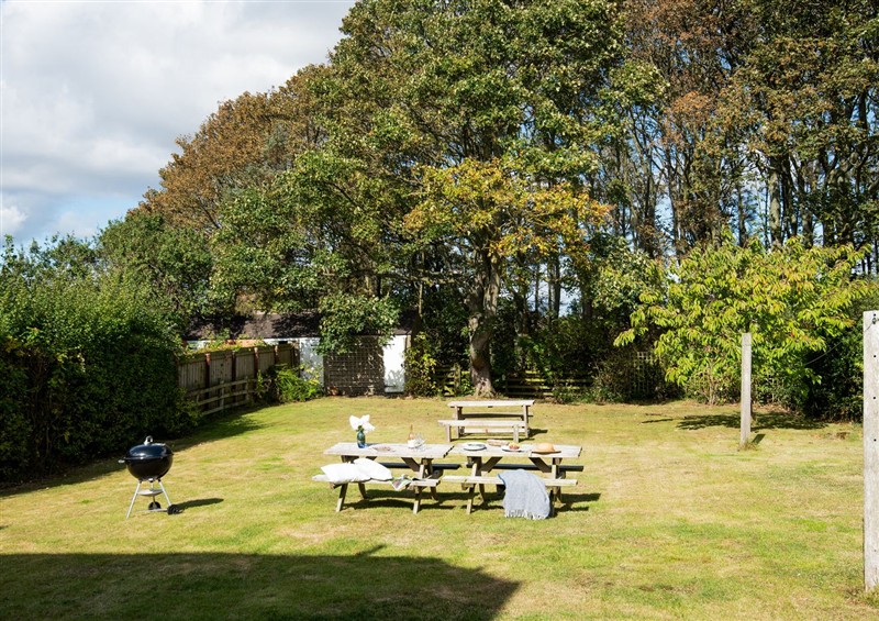 Enjoy the garden (photo 2) at Driftwood, Embleton