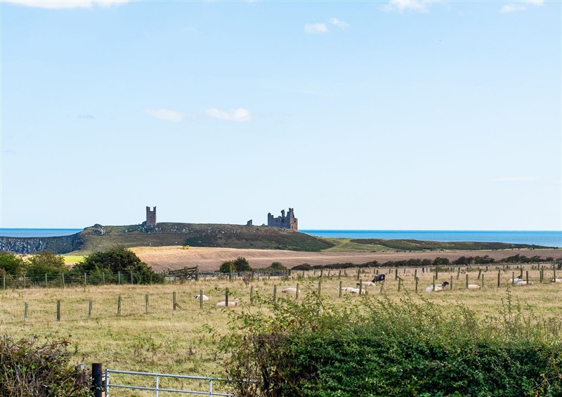 The garden in Driftwood (photo 2) at Driftwood, Embleton