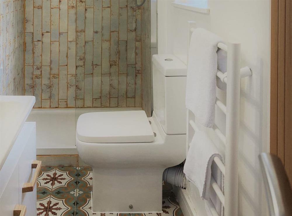 Shower room at Driftwood in Goodrington, near Paignton, Devon