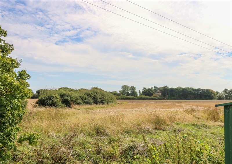 Enjoy the garden at Driftwood Haven, Witterings Holiday Park near East Wittering